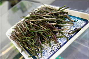 光明九斛堂閃耀上海國際食博會，引領食養健康新服務